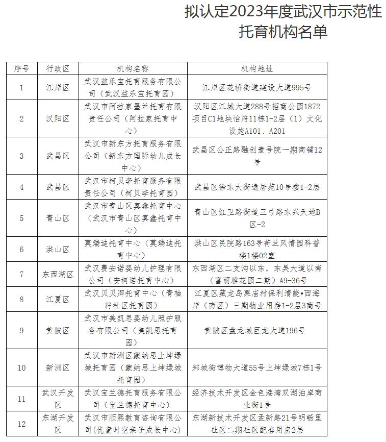 武汉认定示范性托育机构，每家给予10万元补助