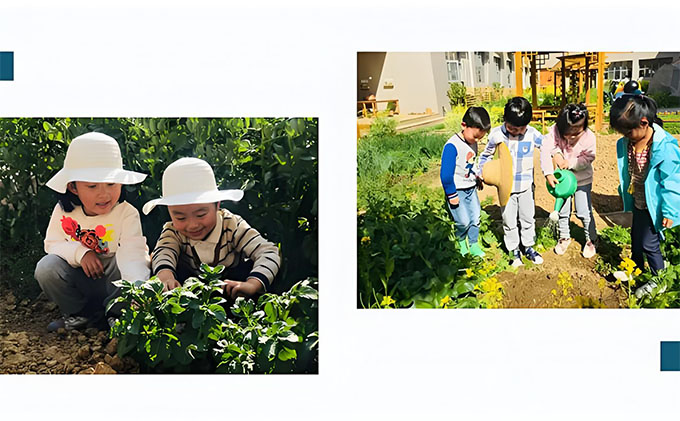 幼儿园种植区打造之虞永平，我与泥土二三事